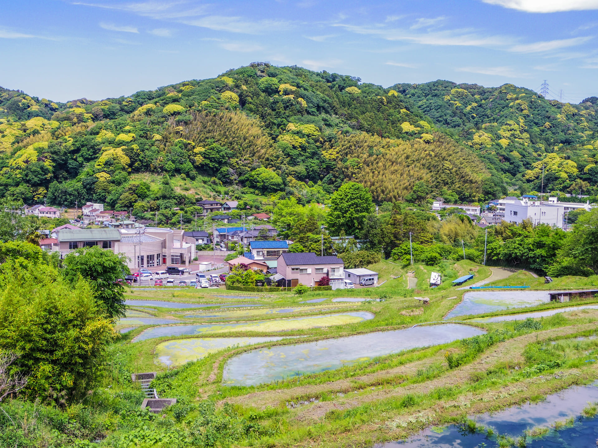 葉山上山口棚田